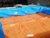 墙里开花墙外香意思解释及典故