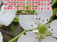 雨打梨花的意思是什么原来这么美你知道吗