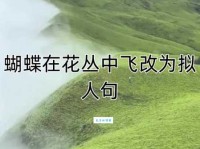 到底花飞蝶舞的意思是什么？这几种用法最常见