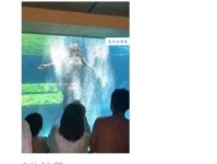 接风洗尘意思解释及典故