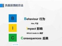 bic是什么意思_bic的中文翻译