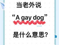 quintus什么意思？一篇文章带你全面了解它的含义！