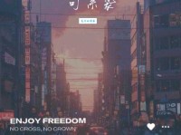 遇见你是我最美丽的意外：一段刻骨铭心的爱情故事