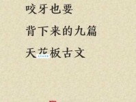 对对子流芳百世的意思