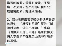 林深时见鹿是什么意思