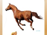 “声色犬马”是什么意思？带你了解声色犬马的真正含义