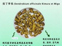 斛珠是什么意思？详解斛珠含义及词牌名由来