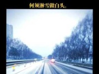 瑞雪兆丰年，你知道它的上一句有哪些版本吗？