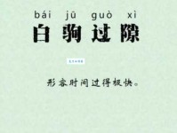 白驹过隙近义词详解：光阴似箭、日月如梭等