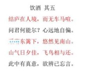 了解“酌酒以自宽”的下一句，体会诗人内心的无奈与豁达