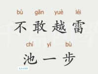 不敢越雷池一步