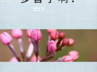 稀疏的意思和用法 稀疏的反义词是什么