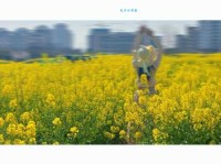 儿童急走追黄蝶，飞入菜花无处寻。