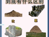 坟是什么意思