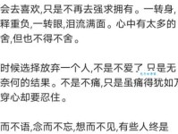 可望而不可及是什么意思？通俗易懂的解释和例句