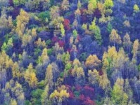 秋色平分意思解释及典故(它是怎么体现双方势均力敌的)