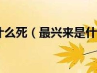 最兴来是什么意思这个名字的由来你知道吗