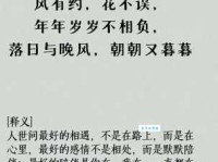 岁岁年年的唯美句子