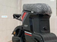 强盗的意思：历史、现实与社会的反思