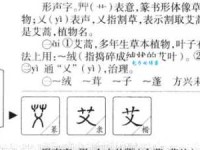 艾的多音字组词信息