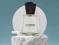 nevermore是什么意思_nevermore的中文翻译