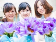 死伤相枕意思解释及典故：历史的悲歌与战争的警示