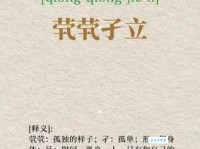 茕茕孑立，形影相吊的意思