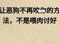 鄙夷不屑的意思是什么 这个词你真的懂吗