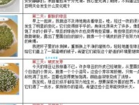 1一7天绿豆在水中的生长过程日记，每天一篇