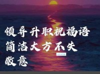 最走心的升职贺词：祝贺你升职，愿你未来更加辉煌！