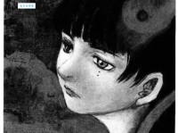 noblesse什么意思怎么读？看完这篇文章你就彻底明白了