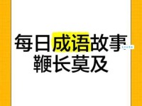 鞭长莫及的意思和用法 看完你就彻底明白了