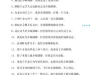 玲珑剔透造句大全：轻松掌握例句用法