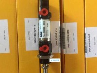 风姿绰约：内涵深度剖析与历史典故溯源