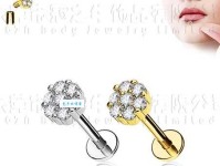 齐东野语是什么意思：荒诞传说背后的语言文化现象