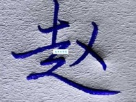 赵组词 解答赵组词有哪些与赵的笔顺怎么写！