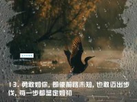 郭敬明经典语录分享：激励你勇敢前行的力量