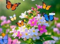 马年短信祝福语大全集：各种祝福短信任你挑选