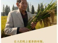 袁隆平说过的经典语录(这句话对你有启发吗)