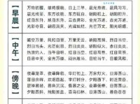 烛照数计是什么意思？深度解析成语烛照数计的出处