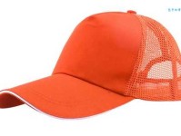 过庭之训是什么意思：家教与传承的力量