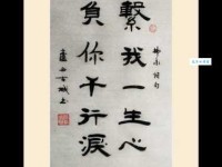 系我一生心，负你千行泪。