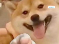 修勾是什么意思？原来大家都在说的就是这个梗！