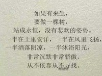 从平淡到出色：反义词揭示精彩人生的另一面