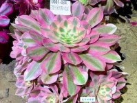 忍无可忍意思解释及典故