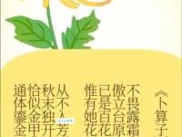 菊节是什么意思呢？带你读懂菊花文化！