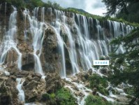 九寨沟最宽阔的瀑布——诺日朗瀑布