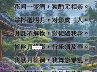 月既不解饮，影徒随我身。