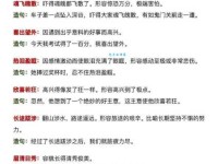 雅俗共赏造句大全：轻松学会如何运用