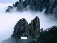 蝉的诗意：解读诗歌里蝉的鸣叫与人生